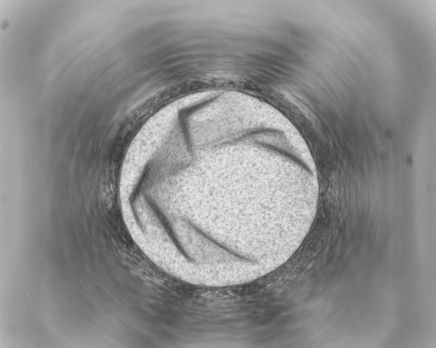 X0000088601015200706221400