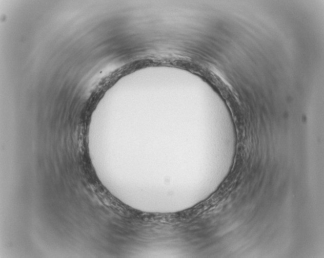 X0000088601016200706221400