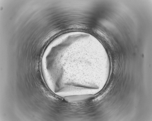 X0000088601017200706221400