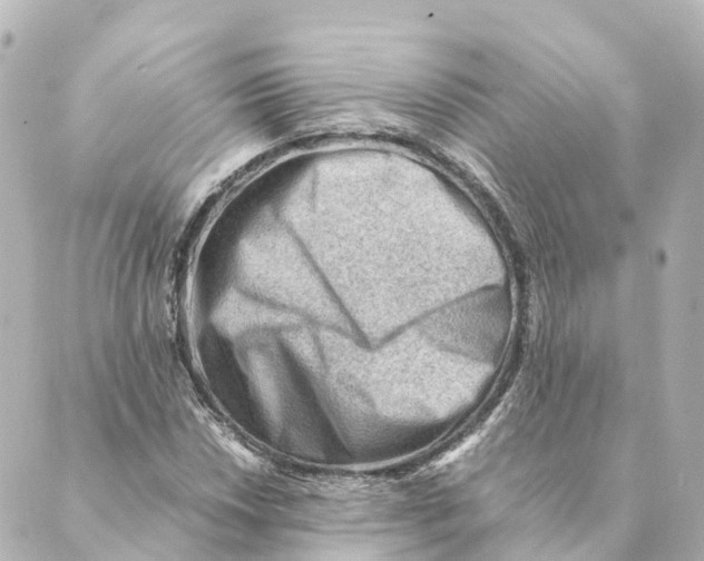 X0000088601018200706221400