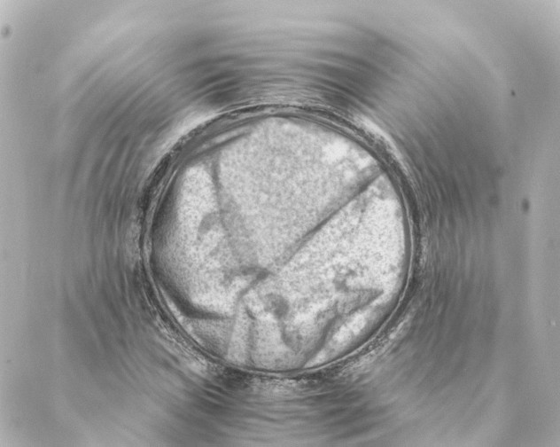 X0000088601019200706221400