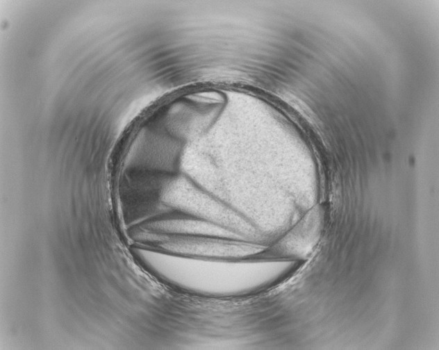 X0000088601022200706221400