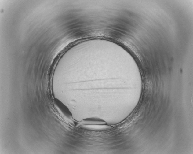 X0000088601023200706221400