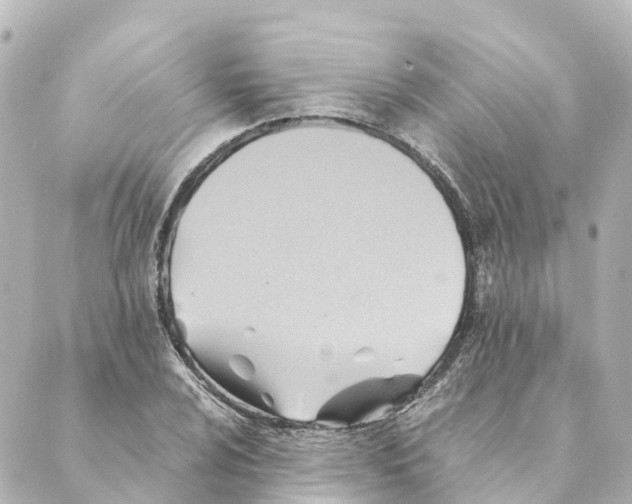 X0000088601024200706221400