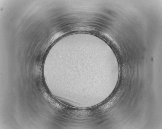 X0000088601025200706221400