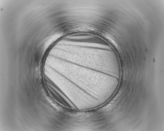 X0000088601026200706221400