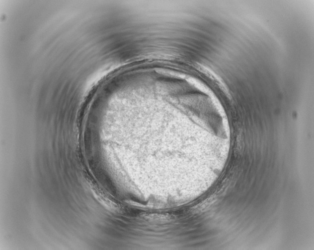 X0000088601027200706221400