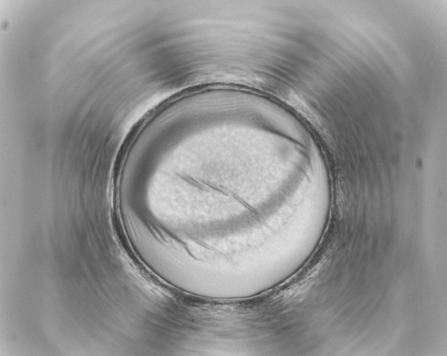 X0000088601028200706221400