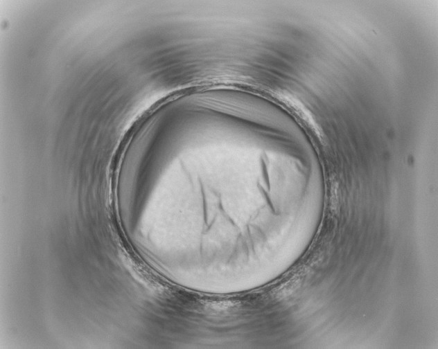 X0000088601031200706221401