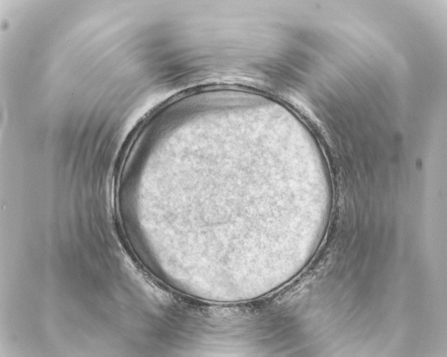 X0000088601032200706221401