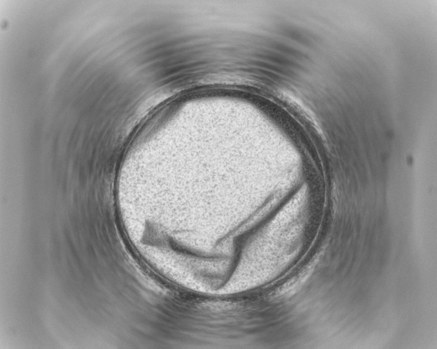 X0000088601033200706221401