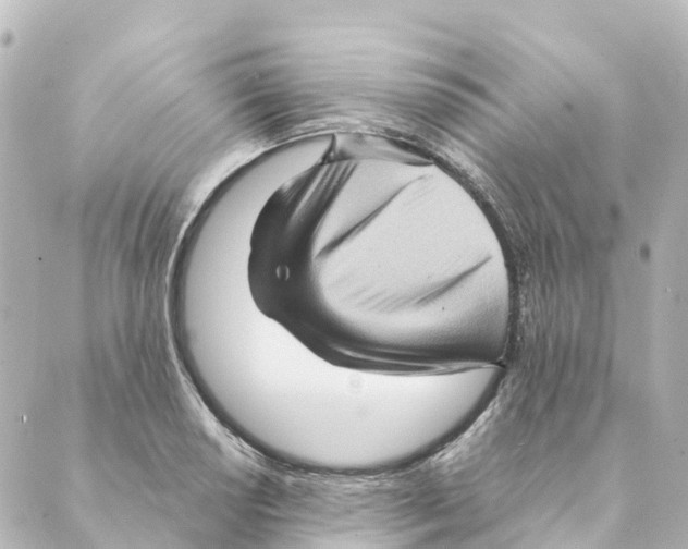 X0000088601034200706221401