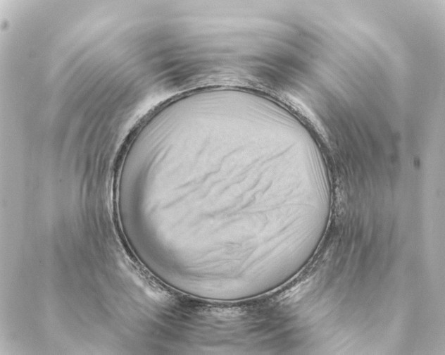 X0000088601035200706221401