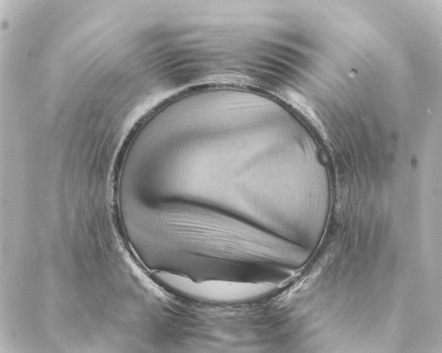 X0000088601037200706221401