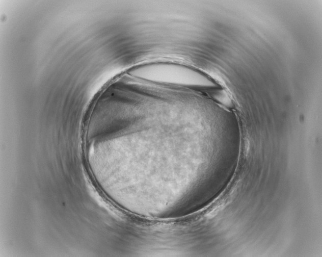 X0000088601038200706221401