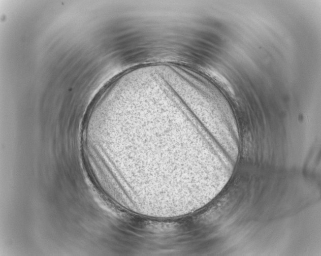 X0000088601039200706221401