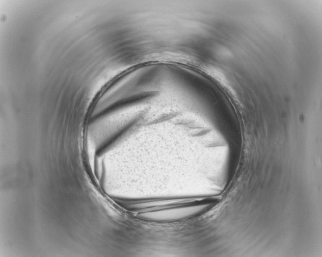 X0000088601040200706221401