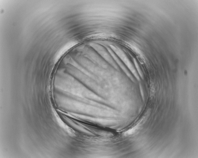 X0000088601042200706221401