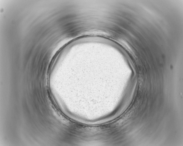 X0000088601044200706221401