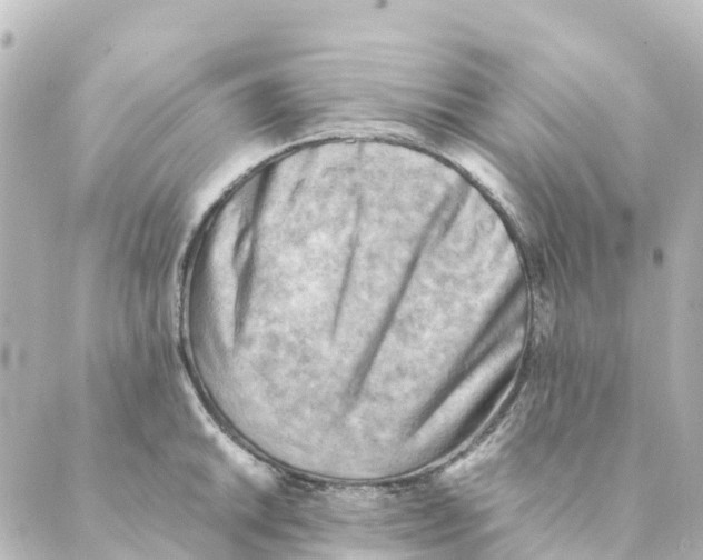 X0000088601046200706221401