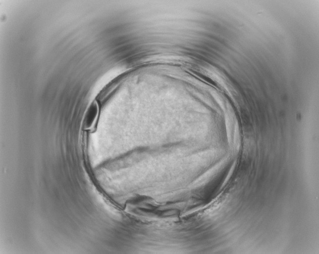 X0000088601050200706221401