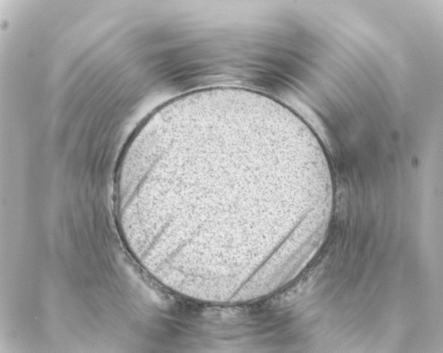 X0000088601051200706221401