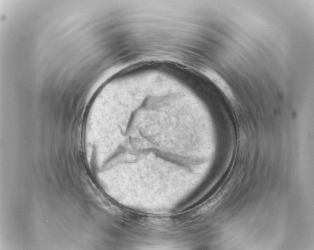 X0000088601052200706221401