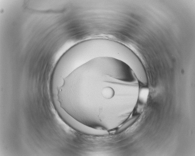 X0000088601054200706221401