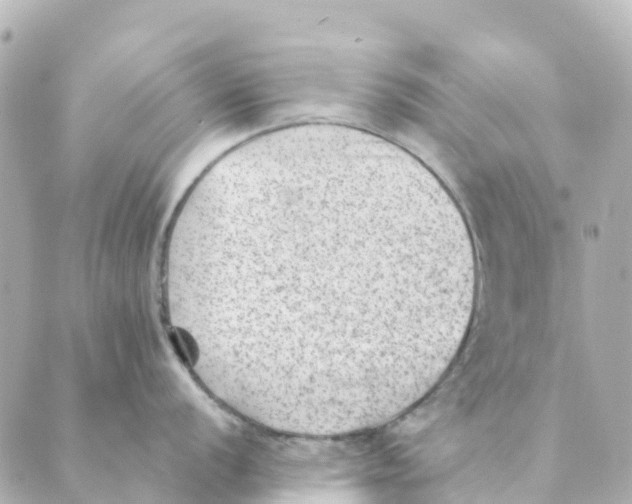 X0000088601056200706221401