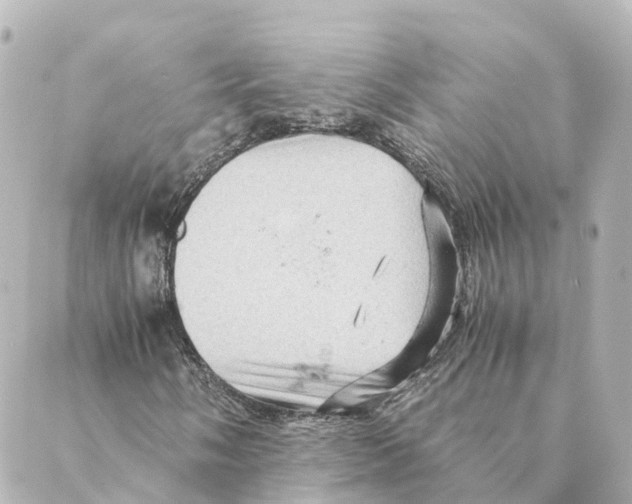 X0000088601058200706221400