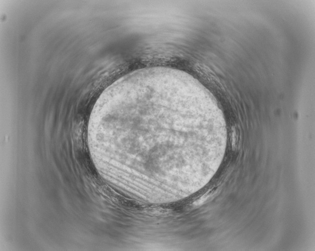 X0000088601059200706221400