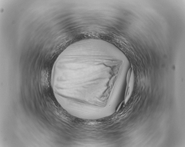 X0000088601060200706221400