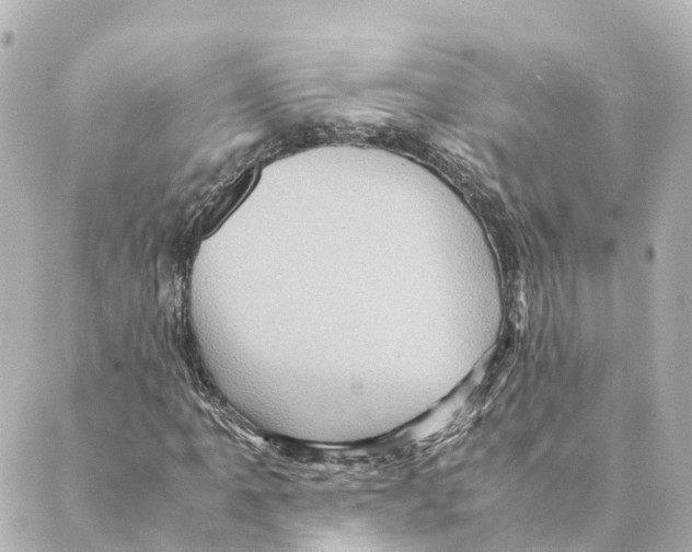 X0000088601061200706221400