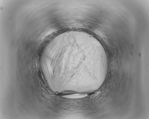 X0000088601063200706221400