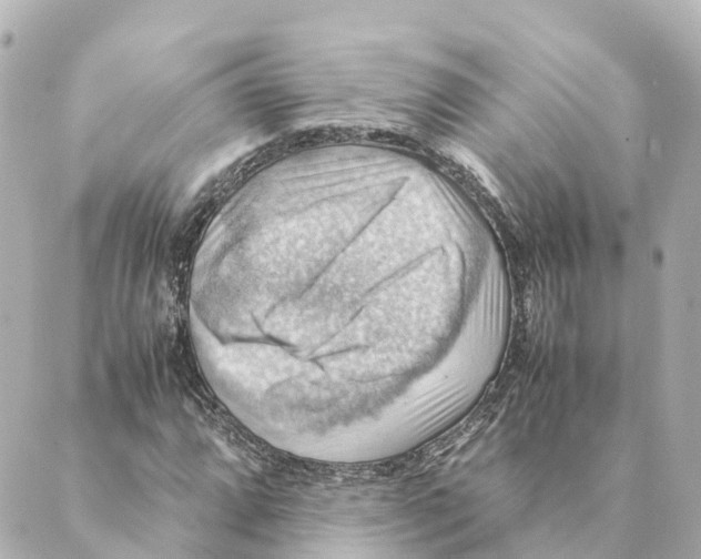 X0000088601064200706221400