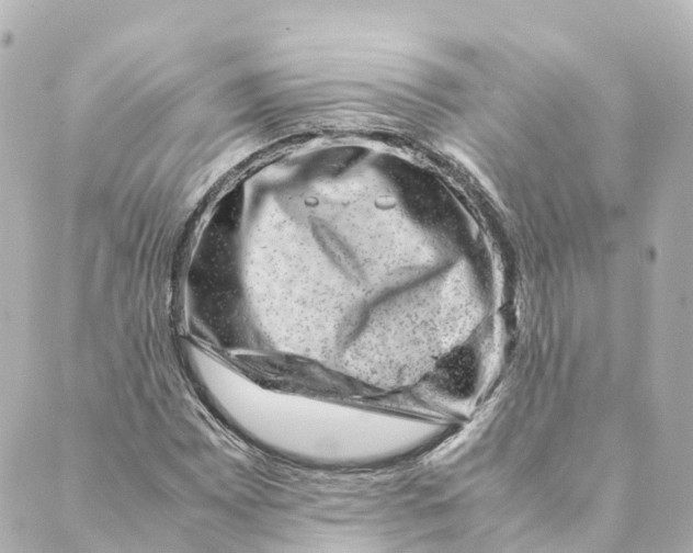 X0000088601065200706221400