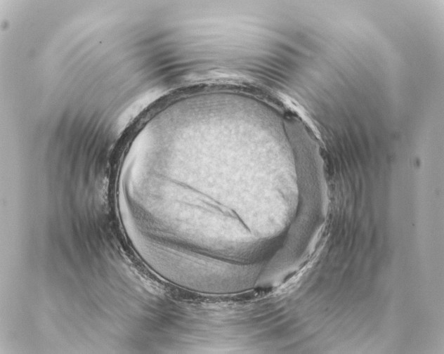 X0000088601066200706221400