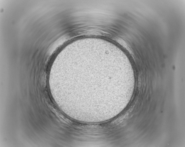 X0000088601067200706221400