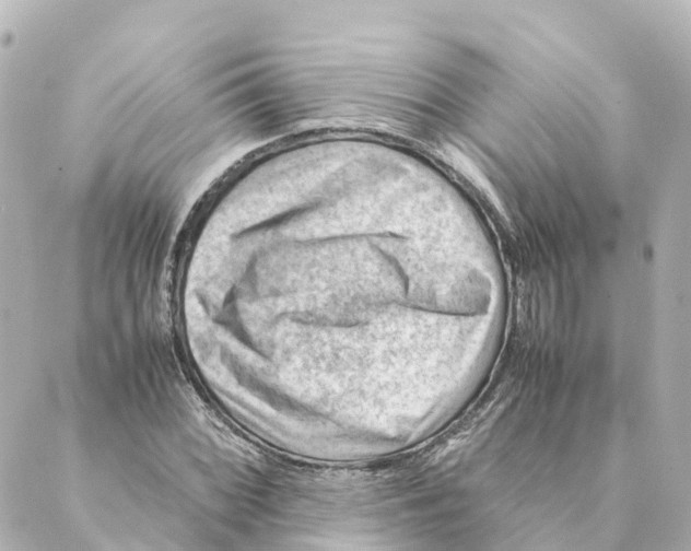 X0000088601068200706221400