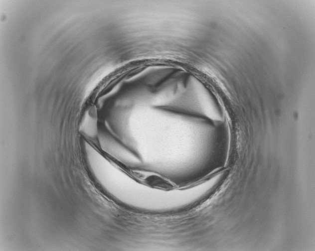 X0000088601069200706221400