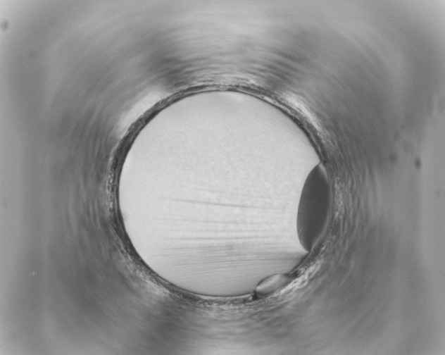 X0000088601071200706221400