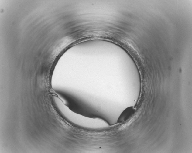 X0000088601073200706221400