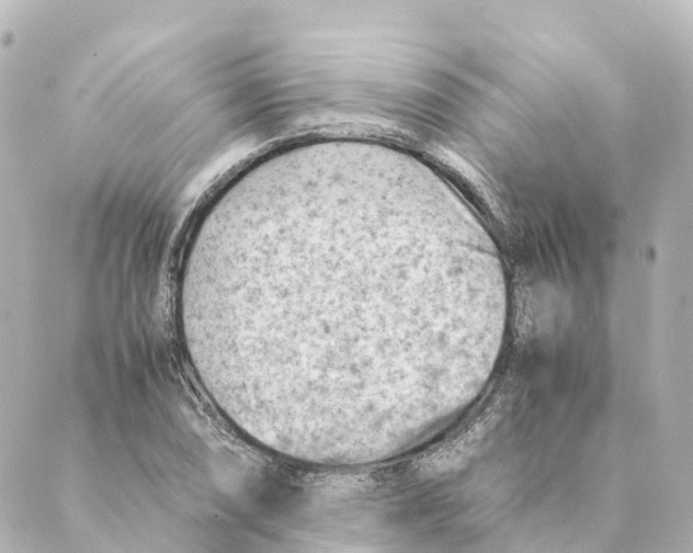 X0000088601074200706221400