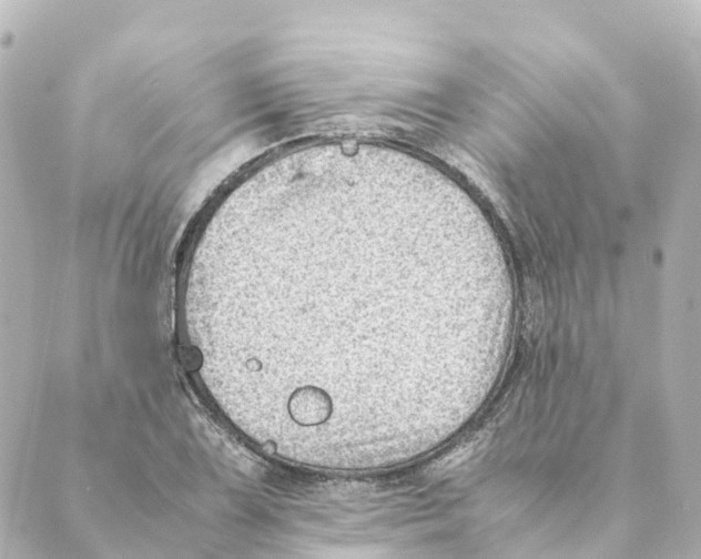 X0000088601075200706221400