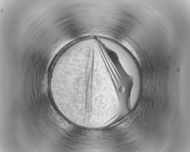 X0000088601076200706221400