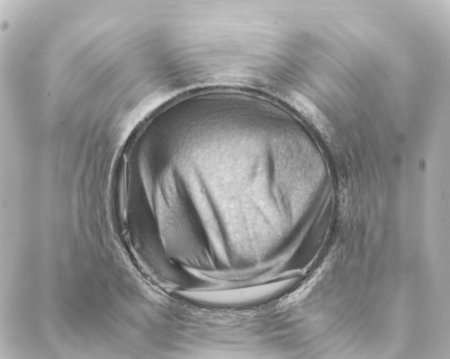 X0000088601077200706221400