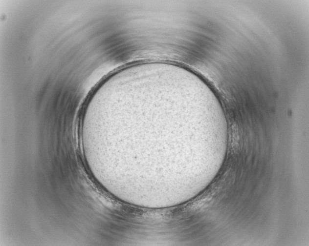 X0000088601078200706221400