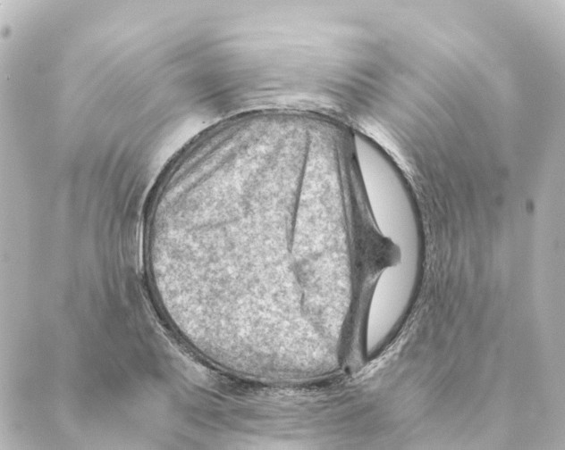 X0000088601079200706221400