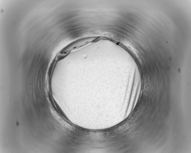 X0000088601080200706221400