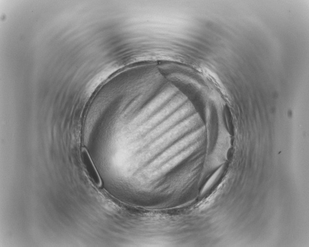 X0000088601081200706221400